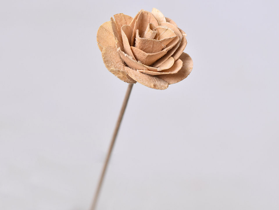 Wood Rose on 40cm stem