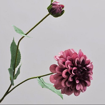 Dahlia RamifiÃ©e Mauve 64cm