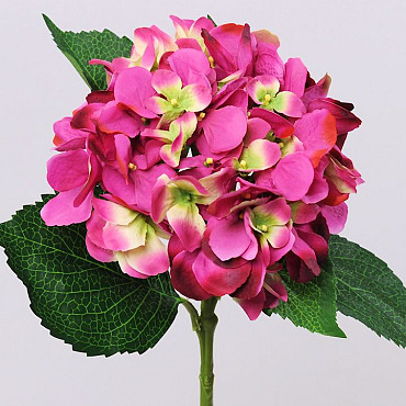 Hortensia 52cm donker roze