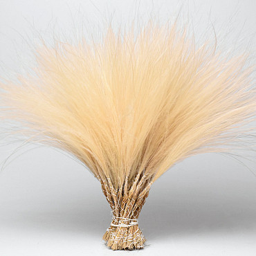 Stipa Penata 50cm, bundle of 50 tufts