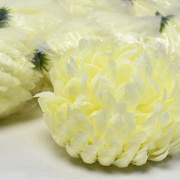 Artificial Chrysanthemum Yellow/Cream D13cm