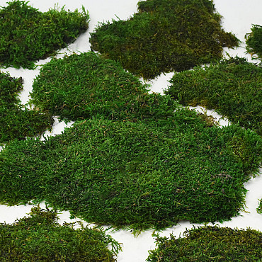 Flat Moss green per kg