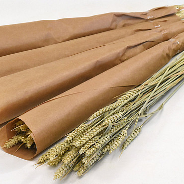 Wheat Wrapped 70cm