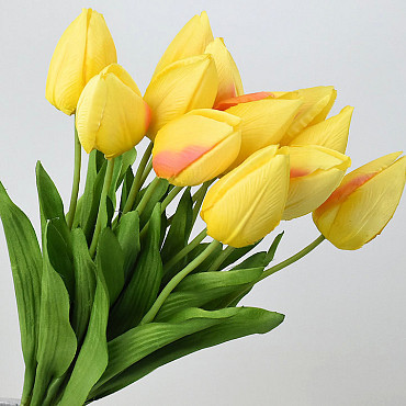 Tulipe Jaune 50cm 