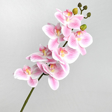 Kunst Orchidee Roze/Crème 73cm