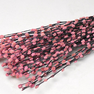 Dried Pussy Willow 90cm Pink 50pcs