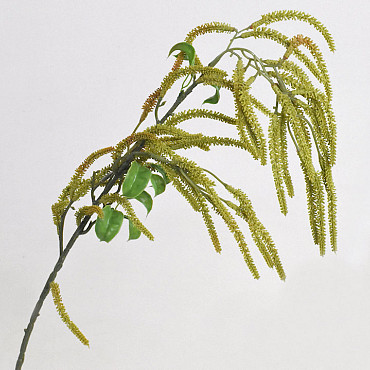 Brindille de Noisetier Vert 78cm 