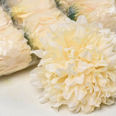 Chrysantheme Autumn Creme D15cm