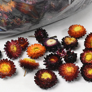 Helichrysum Koppen Rood 250gr.