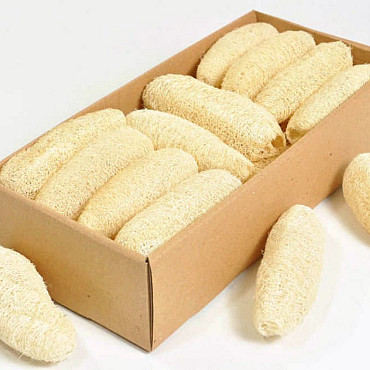 Luffa 10-12cm gebleicht 20-Pack