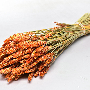 Bouquet Triticum Orange (blé) 70cm