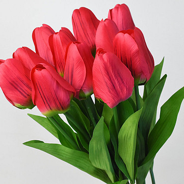 Tulp Red 60cm