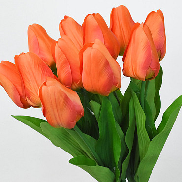 Tulp Orange 60cm