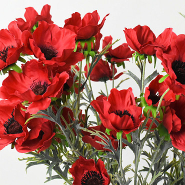 Coquelicot Rouge 80cm