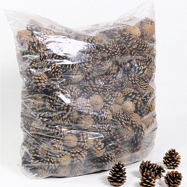 Pine Cones 10kg