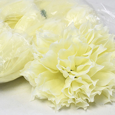 Dahlia D16cm Cream