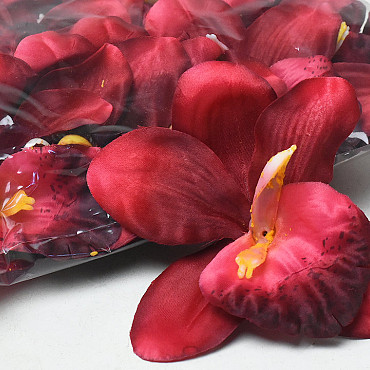 Artificial Orchid Dark Red D13cm 