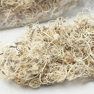 Curly Moss White per Kg