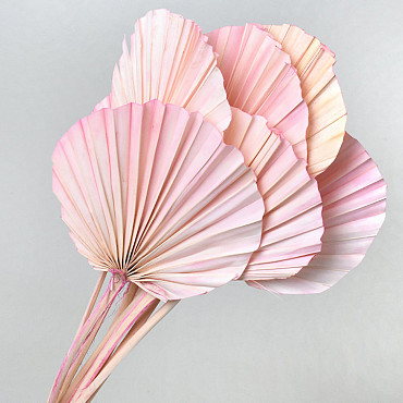 Palm Spear round Pastel Pink 40-55cm 