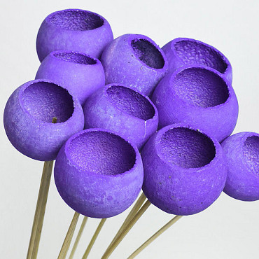 Bell Cup Violet (10 pcs)