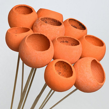 Bell Cup Orange (10 pcs)