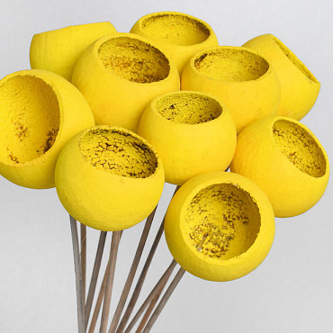 Bell Cup Yellow (10 pcs)