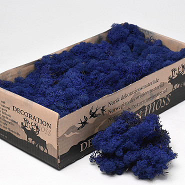 Reindeer Moss Dark Blue 500gr.