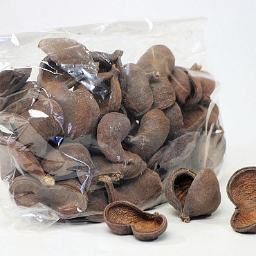 Badam 50pcs small