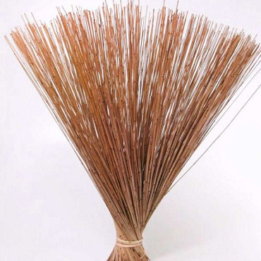 Bouquet Reed Cane Saumon 75cm