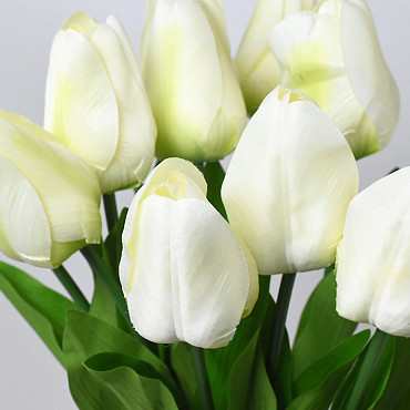 Tulipe Crème 60cm