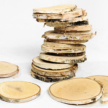 Birch Slices 19pcs