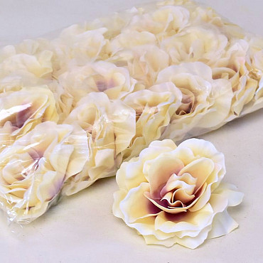 Rose D10cm Creme/Purple