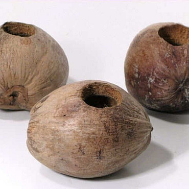 Coconut Pot 13cm