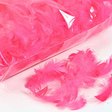 Feathers Pink 100gr.