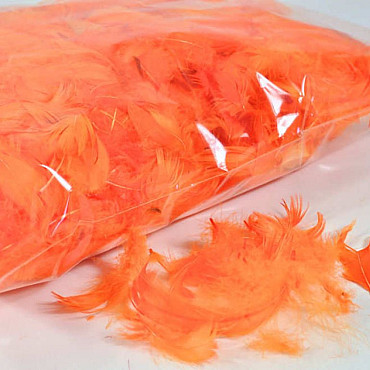 Feathers Orange 100gr.