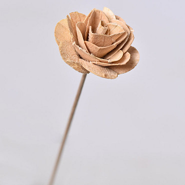 Wood Rose on 40cm stem