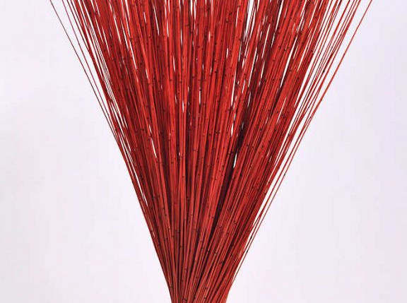 Reed Cane Red 75cm