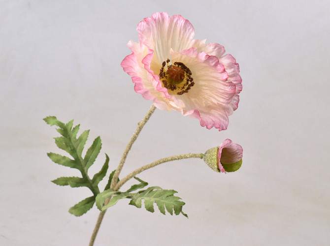 Künstliche Klatschmohn Rosa 65cm 