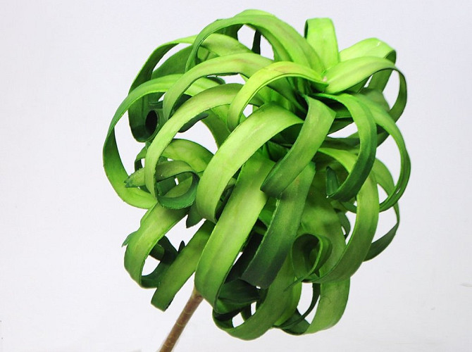 Foam Plant 50cm green