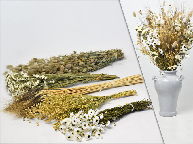 DIY Dried Flower Bouquet White/Natural XL