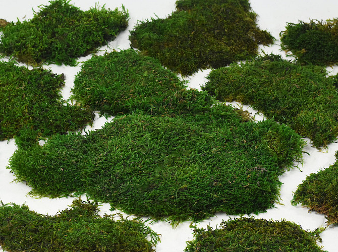 Flat Moss green per kg