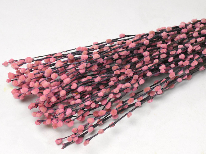 Dried Pussy Willow 90cm Pink 50pcs