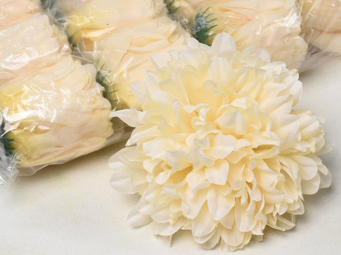 Chrysantheme Autumn Creme D15cm