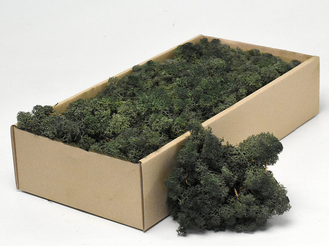 Reindeer Moss Pine Green 500g.