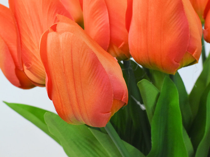 Tulp Orange 60cm