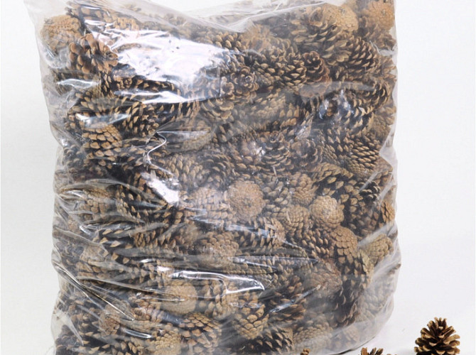 Pine Cones 10kg