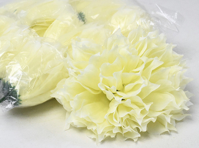 Dahlia D16cm Cream