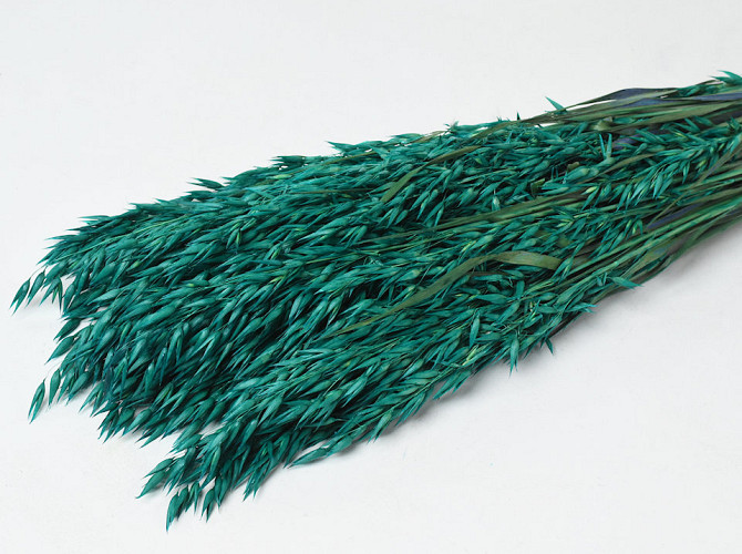 Avena Emerald Green 70cm