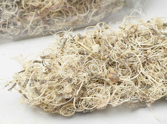 Curly Moss White per Kg