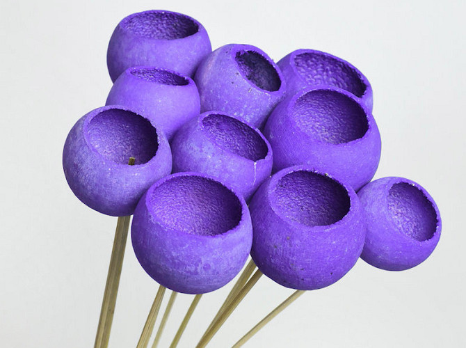 Bell Cup Violet (10 pcs)